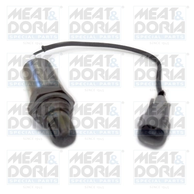 Oxygen Sensor